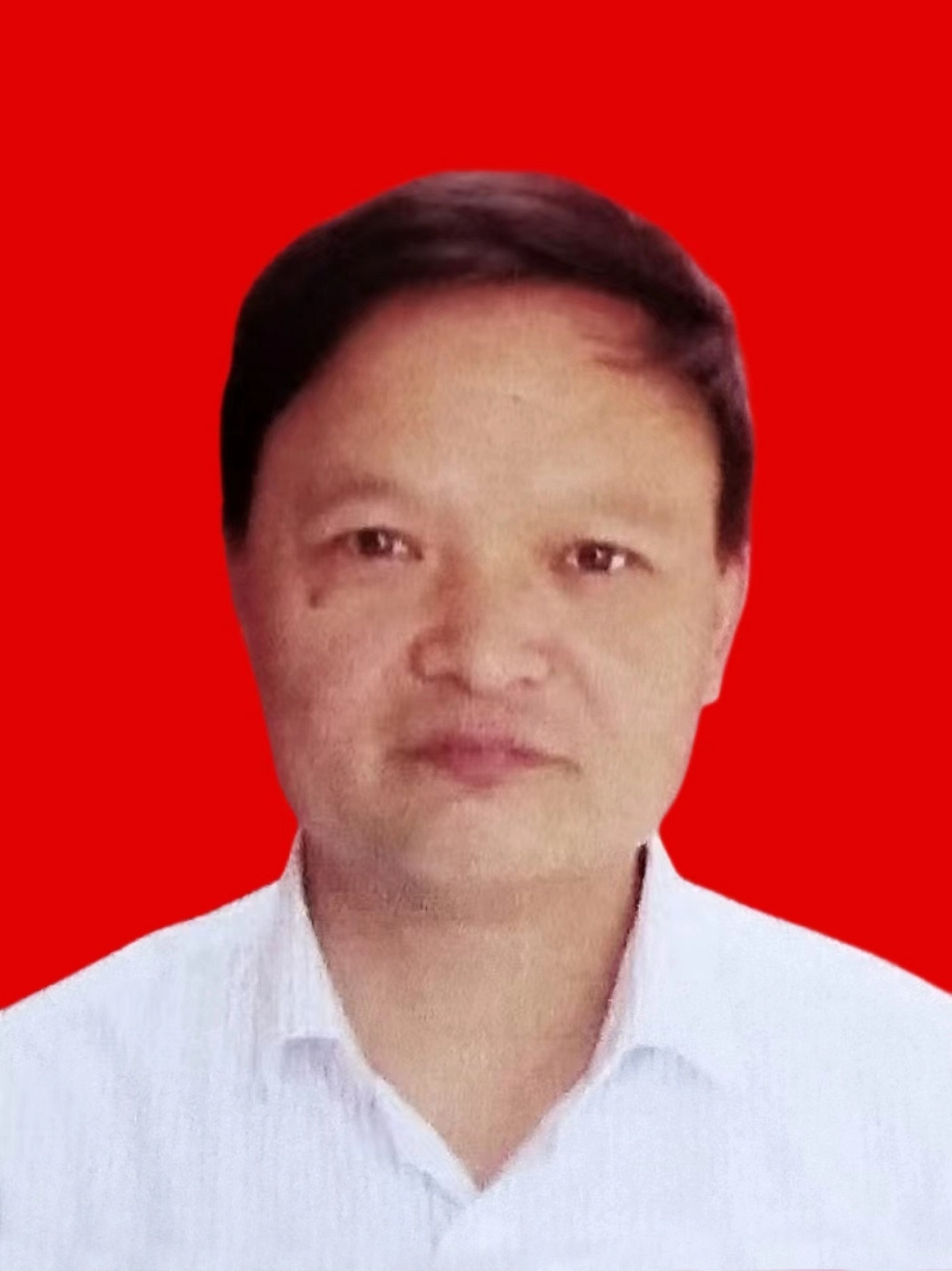 李正华老师《劲松高立众山低》被收藏于